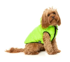 Aeon Hoodie - Lime Green