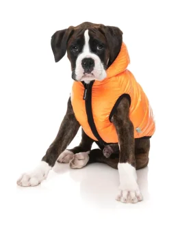 Aeon Hoodie - Orange