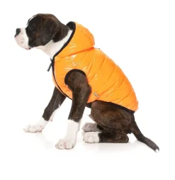 Aeon Hoodie - Orange