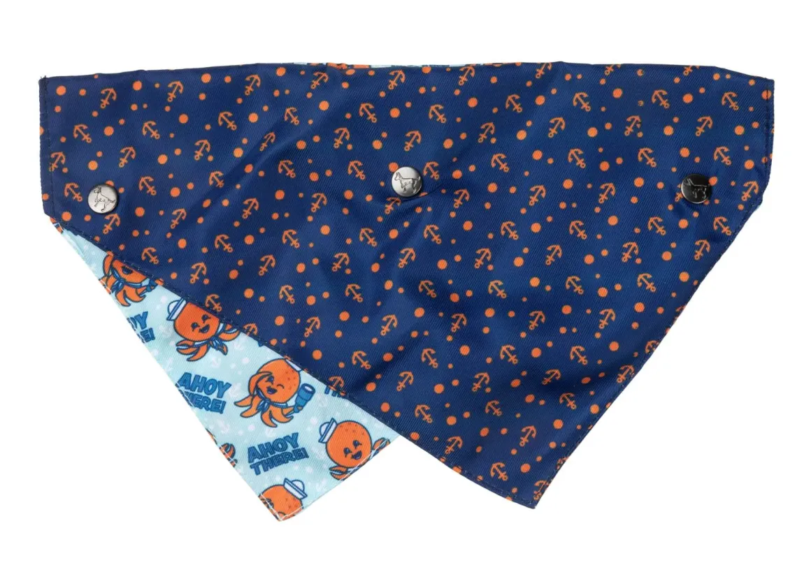 Ahoy There! - Bandana