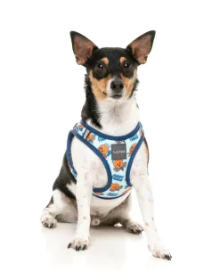 Ahoy There! - Step In Harness