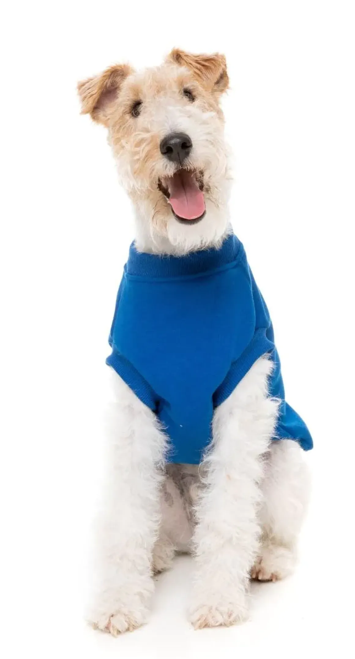 Allday 24 Sweater - Blue