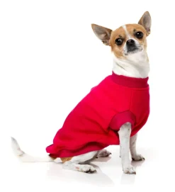 Allday 24 Sweater - Magenta