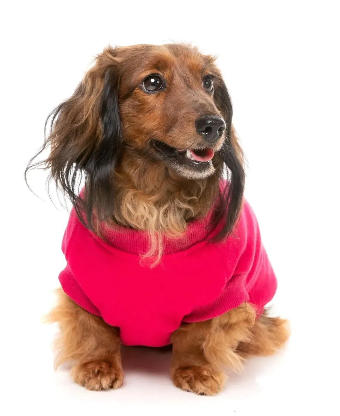 Allday 24 Sweater - Magenta