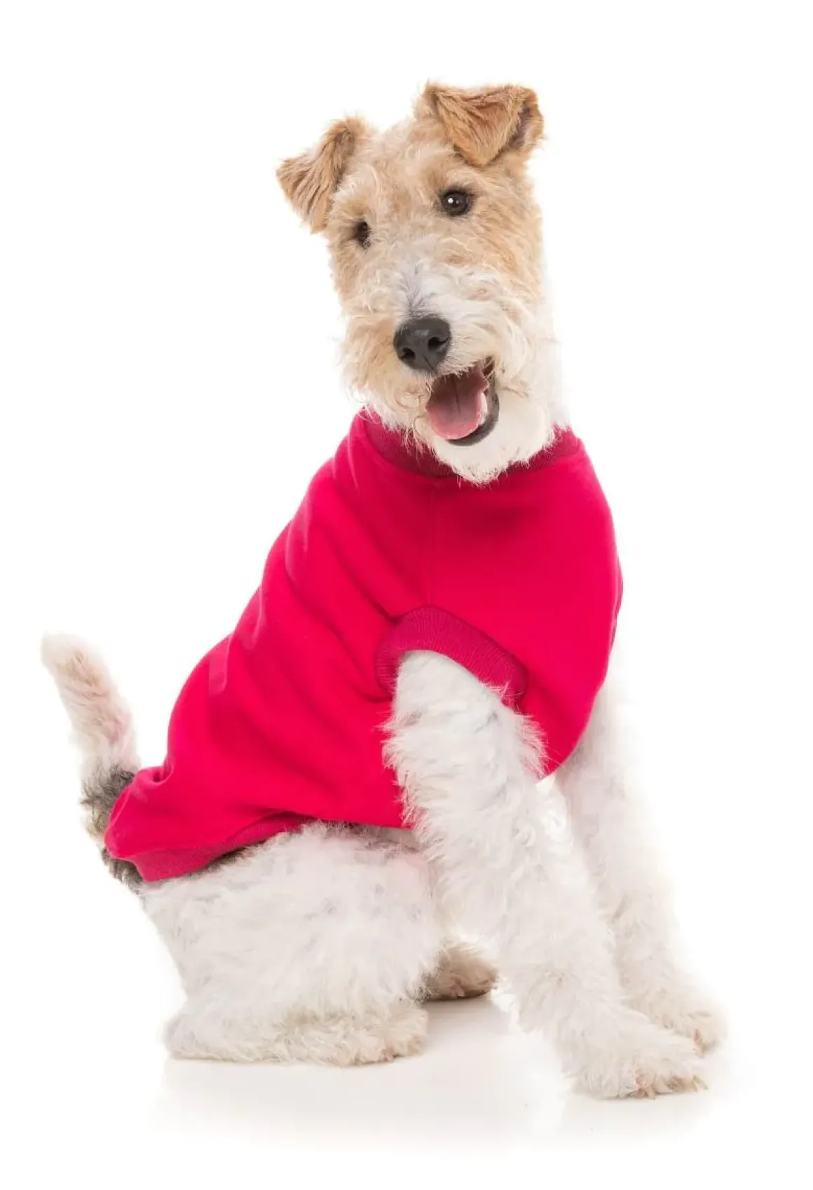 Allday 24 Sweater - Magenta