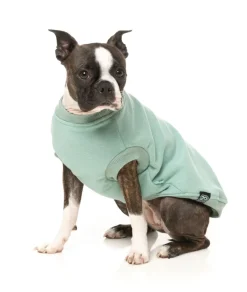 Allday Sweater - Mint