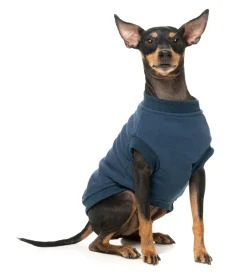 Allday Sweater - Navy