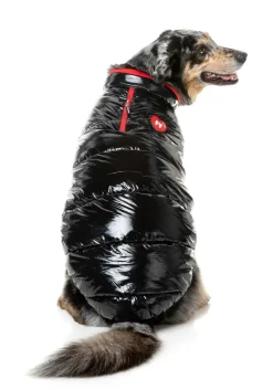 Amor Puffer Jacket - Black