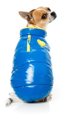 Amor Puffer Jacket - Cobalt Blue