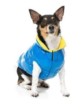 Amor Puffer Jacket - Cobalt Blue