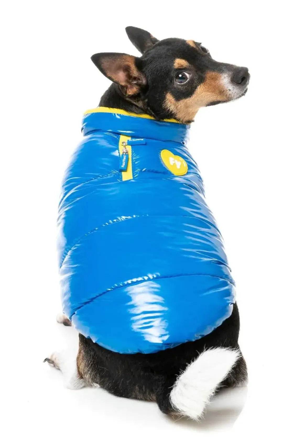 Amor Puffer Jacket - Cobalt Blue