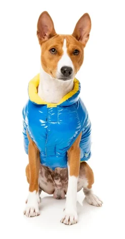 Amor Puffer Jacket - Cobalt Blue