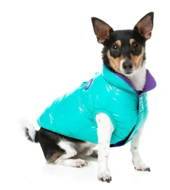Amor Puffer Jacket - Turquoise