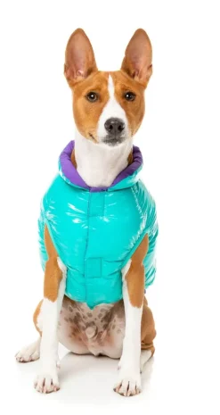 Amor Puffer Jacket - Turquoise