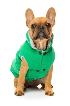 Ashbury Jacket Green