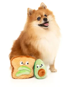 Avocado & Toast 2PK - Dog Toy