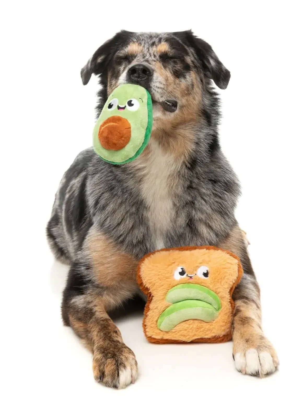 Avocado & Toast 2PK - Dog Toy