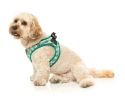 Bananarama - Step In Harness