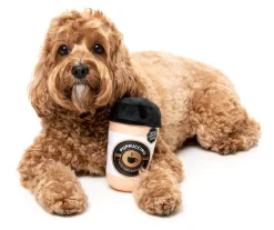 Barkrista Puppuccino - Dog Toy