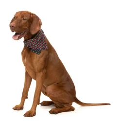 Be My Ghoul - Bandana