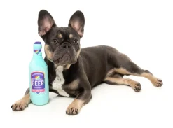 Be Yourself Beer - Dog Toy
