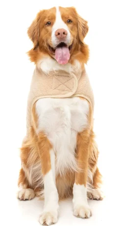 Beige Teddy Wrap Vest