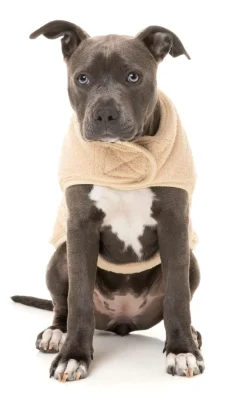 Beige Teddy Wrap Vest