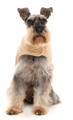 Beige Teddy Wrap Vest