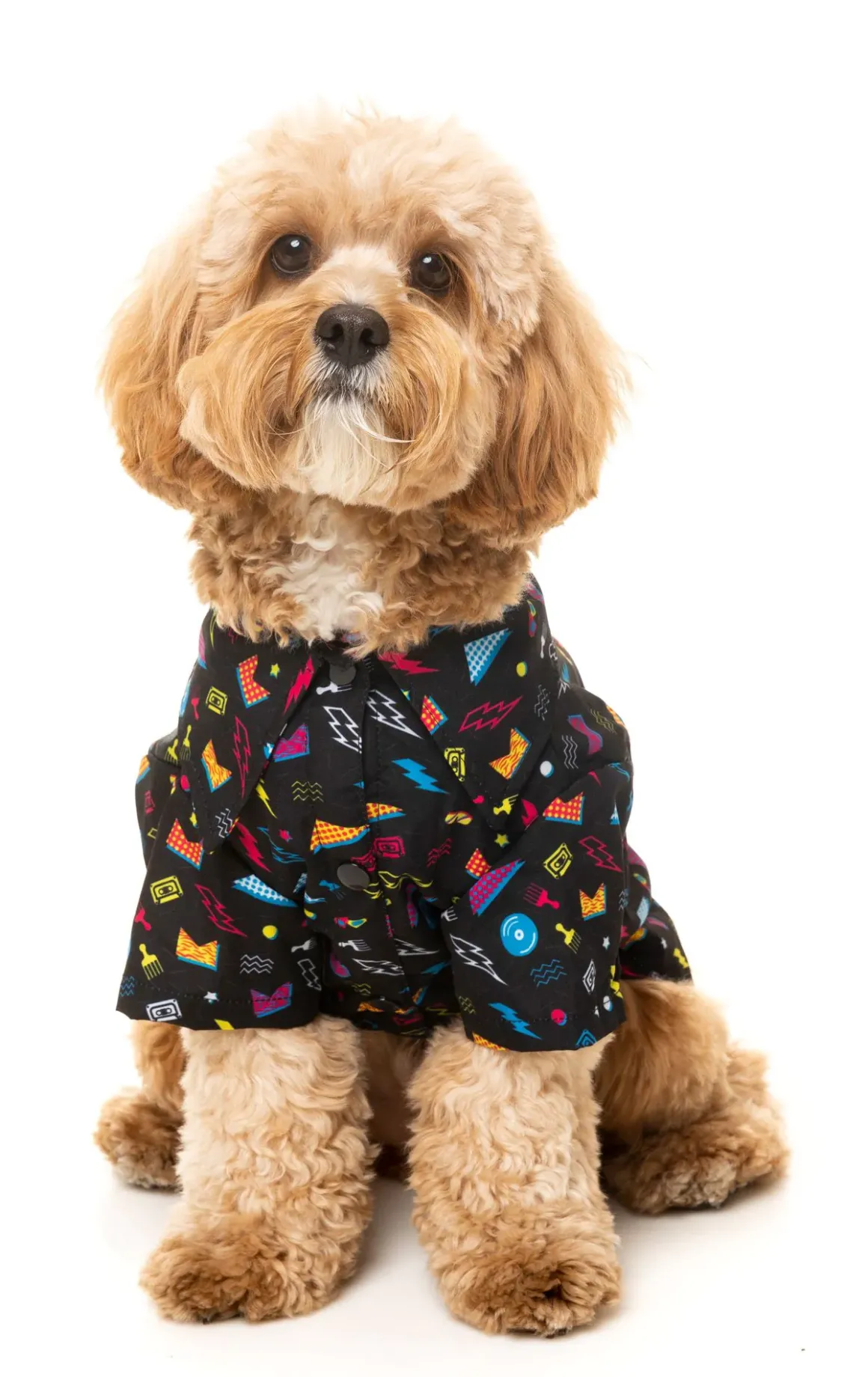 Bel Air Button Up Shirt