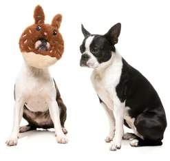 Big Bunny Donut - Dog Toy