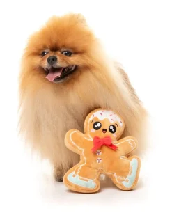 Biscuit Blader - Dog Toy