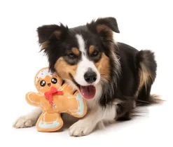 Biscuit Blader - Dog Toy