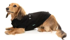 Black Street Sweater