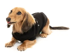 Black Street Sweater