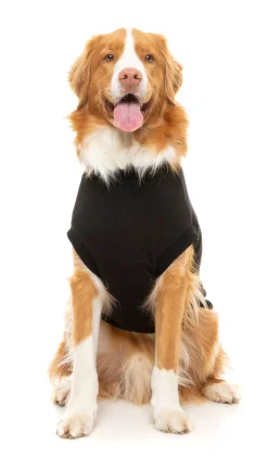 Black Street Sweater