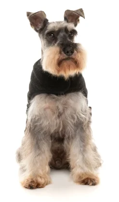 Black Teddy Wrap Vest