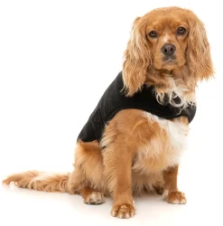 Black Teddy Wrap Vest