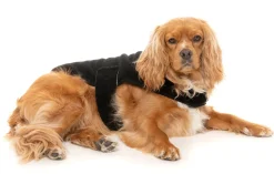 Black Teddy Wrap Vest