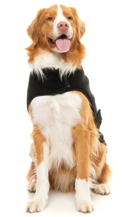 Black Teddy Wrap Vest