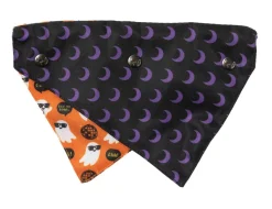 Boogie Nights - Bandana