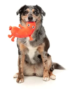 Brad Wurst - Dog Toy