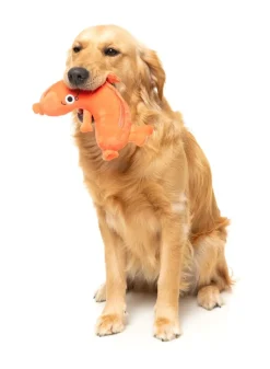 Brad Wurst - Dog Toy