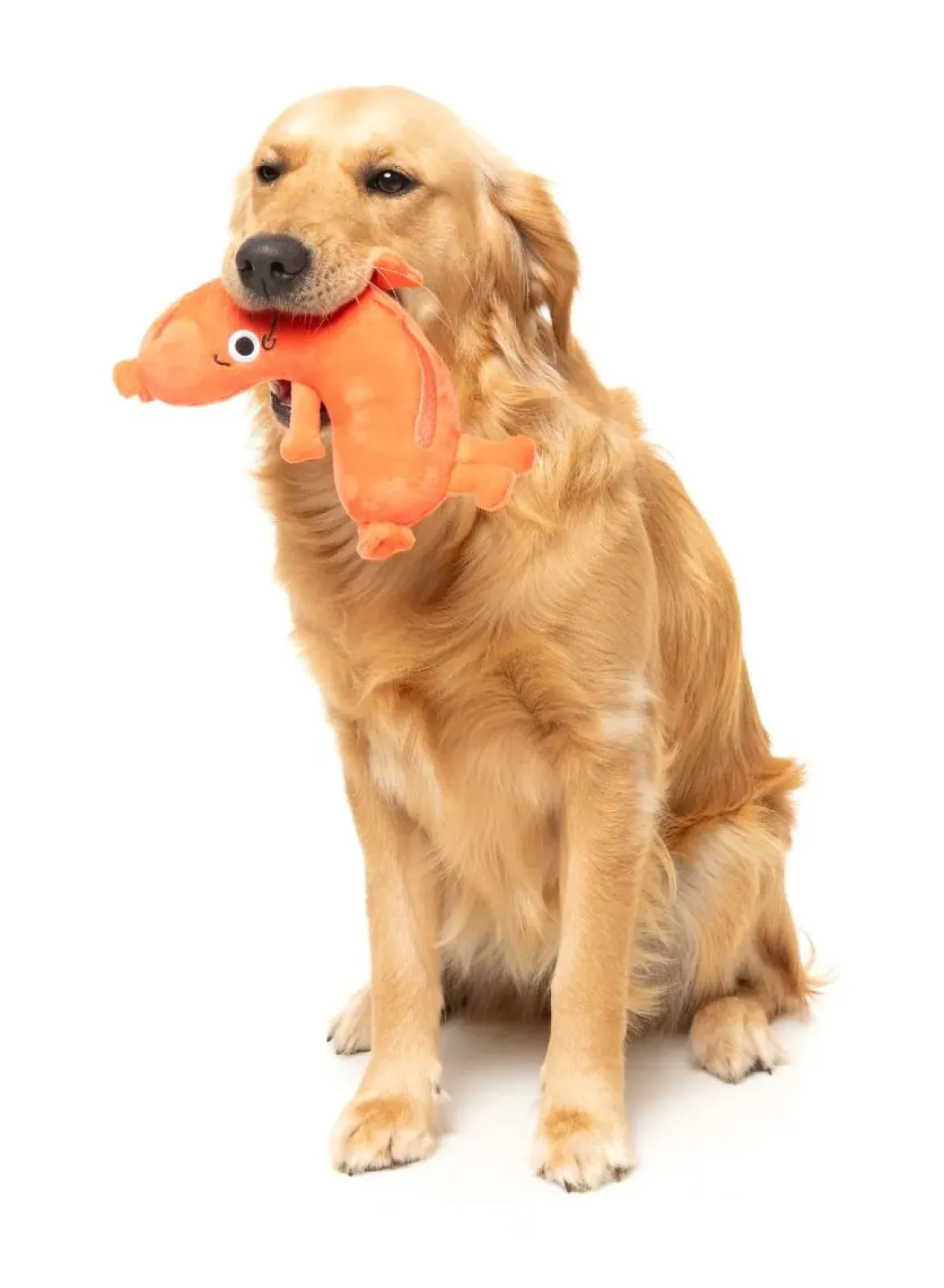 Brad Wurst - Dog Toy