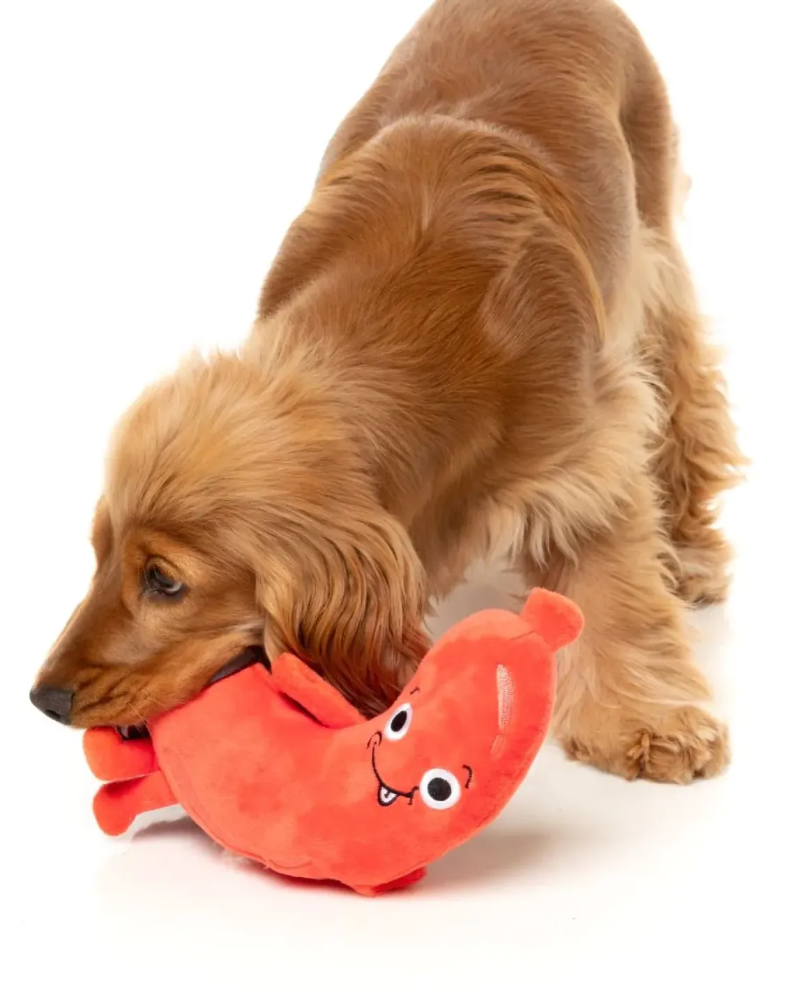 Brad Wurst - Dog Toy