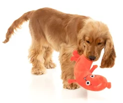 Brad Wurst - Dog Toy