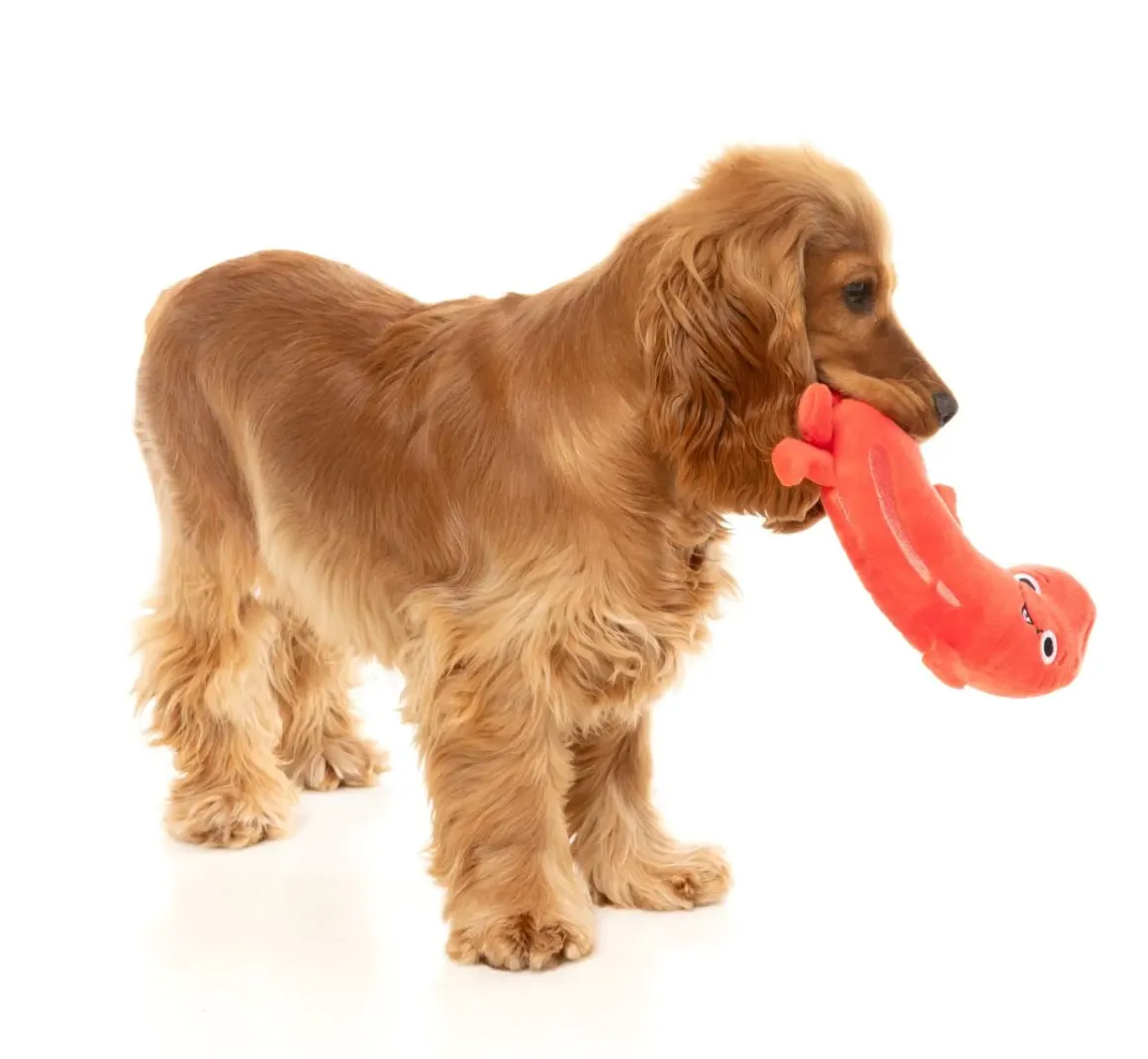 Brad Wurst - Dog Toy