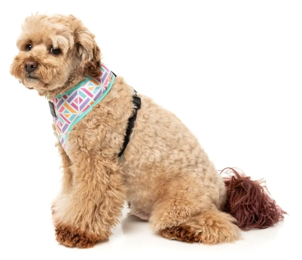 Bubblegum Burst - Dog Harness