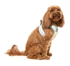 Bubblegum Burst - Dog Step In Harness