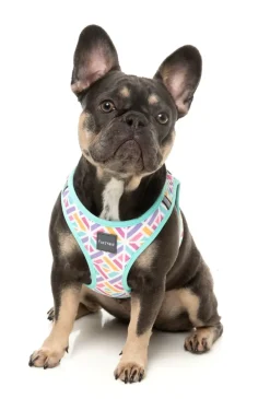 Bubblegum Burst - Dog Step In Harness