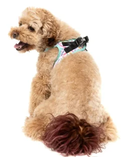 Bubblegum Burst - Dog Step In Harness